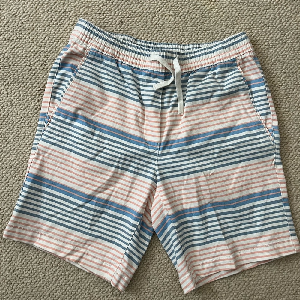 Striped Men's Swim Shorts
